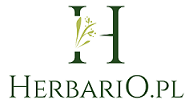 Herbario
